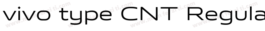 vivo type CNT Regula字体转换